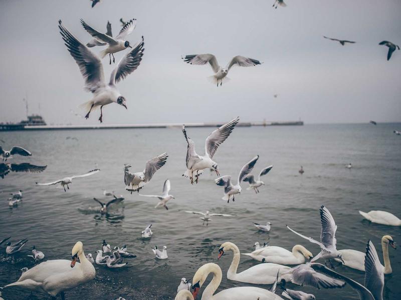 sudoku offline mode screenshot 4